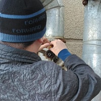 Долги за тепло могут испортить новогоднее настроение Долги за тепло могут испортить новогоднее настроение